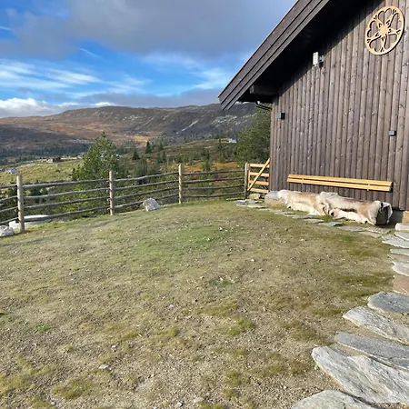 Modern And Spacious Mountain Holiday home Nesbyen